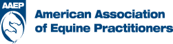 American Association Logo