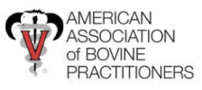 American Association Logo