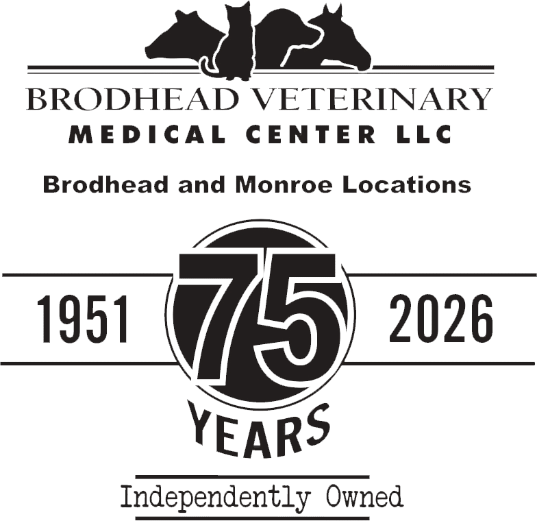 BroadHead-75-years