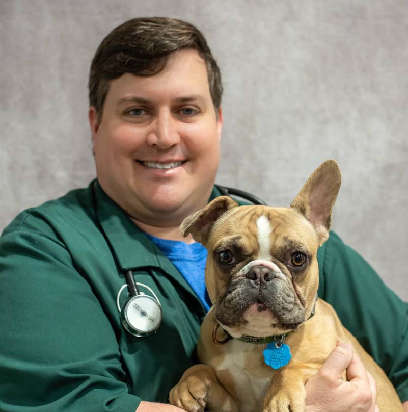 Dr. Shawn Melvin