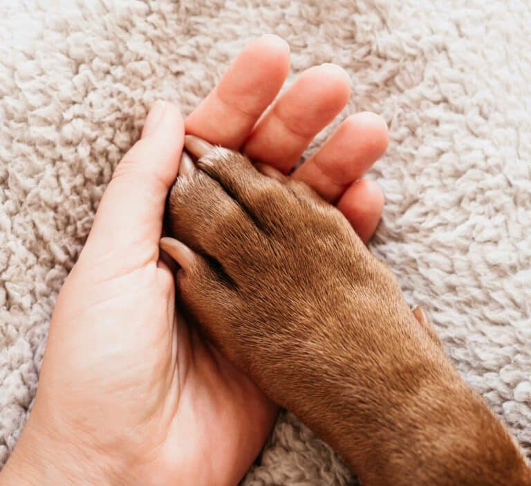 End-of-Life Care