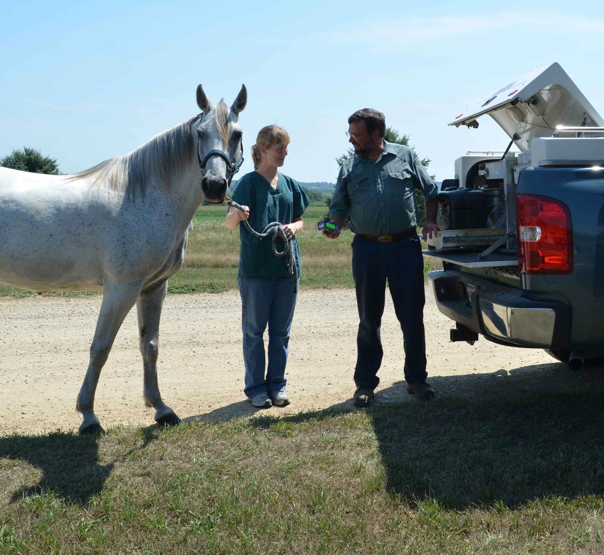 Equine Care Photo V2
