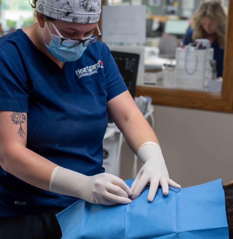Surgery & Orthopedics